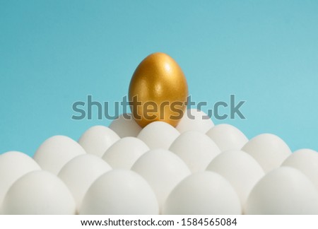 Concept of individuality, exclusivity, better choice. One golden egg among white eggs on blue background.