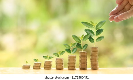 Investment Images Stock Photos Vectors Shutterstock