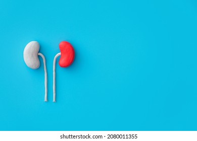 263 Renal Colic Images, Stock Photos & Vectors | Shutterstock