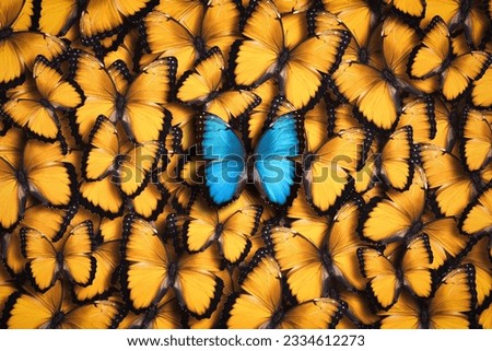 The concept of a large group of orange butterflies standing out from the crowd as a background