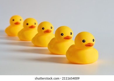 Concept Of Leadership, Compliance Or Obedience. Rubber Ducks Or Ducklings In A Row.