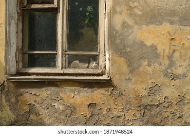 Concept Loneliness Despondency Destruction Cute Homeless Stock Photo ...