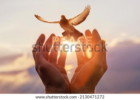 Concept love hope peace. Hand shows a dove with the inscription peace.