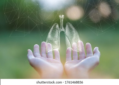 The Concept Of Lung Health Support.Hands Show Lungs On Blurred Green Background.