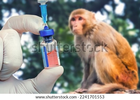 the concept of medicine and veterinary medicine. The vaccine against monkey pox. Medicine for animals.
