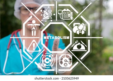 Concept of metabolism. Medical advice metabolic human diseases. Diet Nutrition Immunity Human Health.