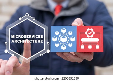 Concept Of Microservice Architecture. Microservices Architecture Software Integrate. Micro Services.