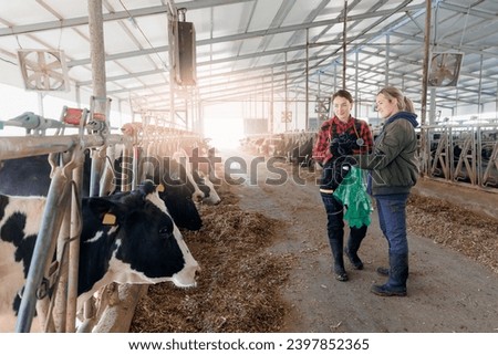 Concept modern technology of livestock farming cattle 4.0 industry. Two woman veterinarian doctor and farmer worker use phone app for check health of cow and discussing farm.