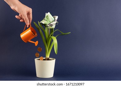 Concept Money Is Growing. A Female Hand Holds A Small Watering Can And Pours Coins With A Sprout In A Pot. From A Plant A Flower From Euro Grows Up. Still Life With Copy Space In The Background.