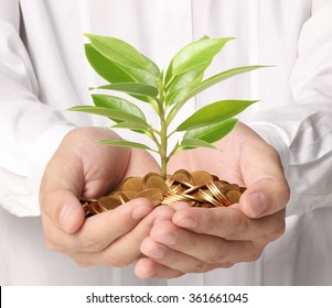 Concept Of Money Growing From Plant Coins