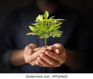 Concept Of Money Plant Growing From Coins In Hand 