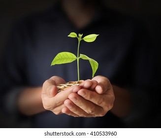 Concept Of Money Plant Growing From Coins In Hand 