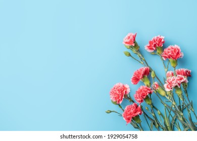 Concept Of Mother's Day Holiday Greeting Gift Design With Carnation Bouquet On Bright Blue Table Background