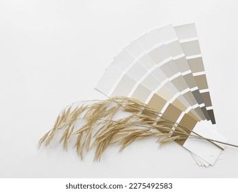 Concept: nature inspires colors. Paint samples for decorating and design. Deciding on colors. Neutral beige and gray color palette.  - Powered by Shutterstock