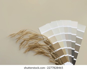 Concept: nature inspires colors. Samples of paints  with dried grass on a beige background.  Neutral beige and gray color palette for decorating and design. Natural pastel colors for home renovation