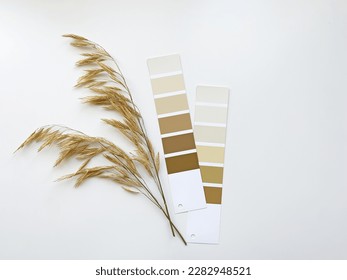 Concept: nature inspires colors. Samples of paints with dried grass on a white background. Neutral beige and gray color palette for decorating and design. Natural pastel colors for home renovation - Shutterstock ID 2282948521