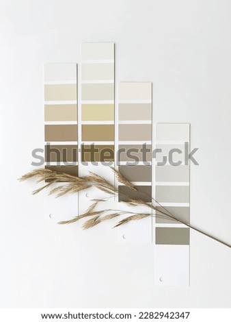 Concept: nature inspires colors. Samples of paints  with dried grass on a white background.  Neutral beige and gray color palette for decorating and design. Natural pastel colors for home renovation