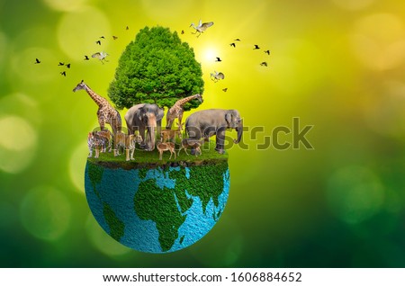 Concept Nature reserve conserve Wildlife reserve tiger Deer Global warming Food Loaf Ecology Human hands protecting the wild and wild animals tigers deer, trees in the hands green background Sun light
