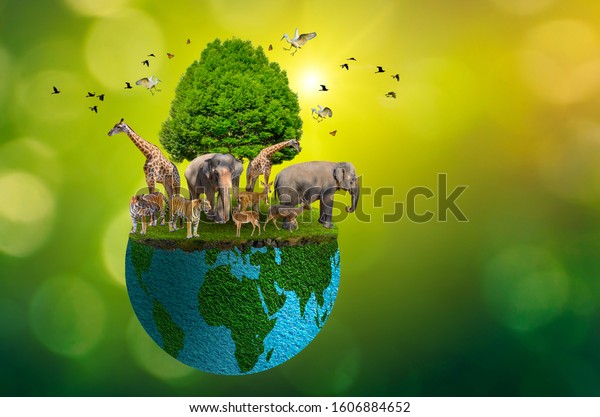 Concept Nature reserve conserve Wildlife reserve
tiger Deer Global warming Food Loaf Ecology Human hands protecting
the wild and wild animals tigers deer, trees in the hands green
background Sun light
