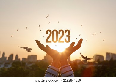 Concept of New Year 2023 with hopes for peace and prosperity. - Shutterstock ID 2192844559