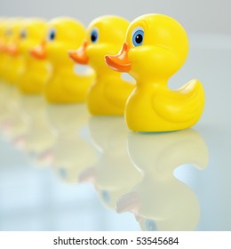 Concept Of Organization With Ducks In A Row.