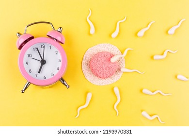 The Concept Of Ovulation. Time For Conceiving A Baby From A Man And A Woman. The Sperm Fertilizes The Egg. Yellow Background.