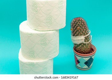 Concept Of Panic Buying And Storages Of Toilet Paper During A Coronavirus Epidemic, A Cactus Looks At A Mountain Of Toilet Paper