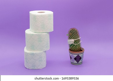 Concept Of Panic Buying And Storages Of Toilet Paper During A Coronavirus Epidemic, Cactus Stores A Mountain Of Toilet Paper