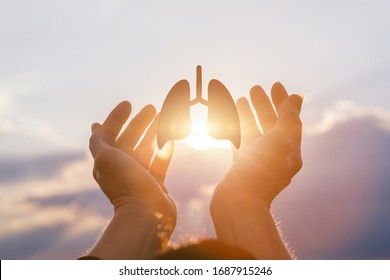 The Concept Of Patient Lung Health Support. Hands Support The Lungs Against The Background Of The Sunset.