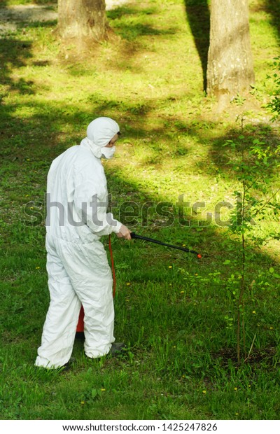 The concept of pest management, insects and mites .\
Chemical treatment and protection against termites, cockroaches,\
fleas. Disinfector in white protective overalls with orange spray\
treats trees