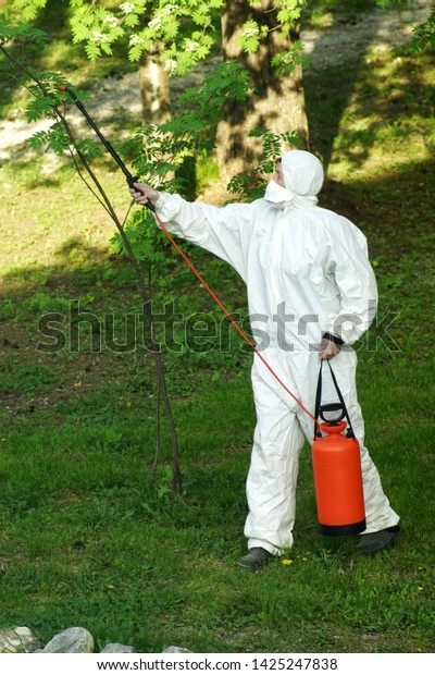 The concept of pest management, insects and mites .
Chemical treatment and protection against termites, cockroaches,
fleas. Disinfector in white protective overalls with orange spray
treats trees