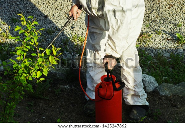 The concept of pest management, insects and mites .\
Chemical treatment and protection against termites, cockroaches,\
fleas. Disinfector in white protective overalls with orange spray\
treats trees and