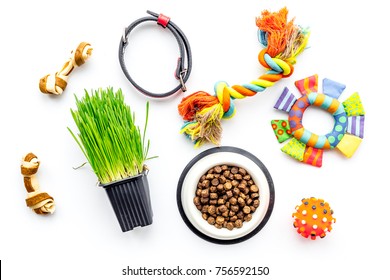 Concept Pet Care, Playing And Training. Toys, Accessories And Feed On White Background Top View