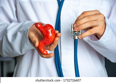 Concept photo of diagnosis in gastroenterology. Doctor hold in one hand model of human stomach, in other stethoscope and conducts diagnostic process and presence of gastric system diseases, hormone - Shutterstock ID 1732726607