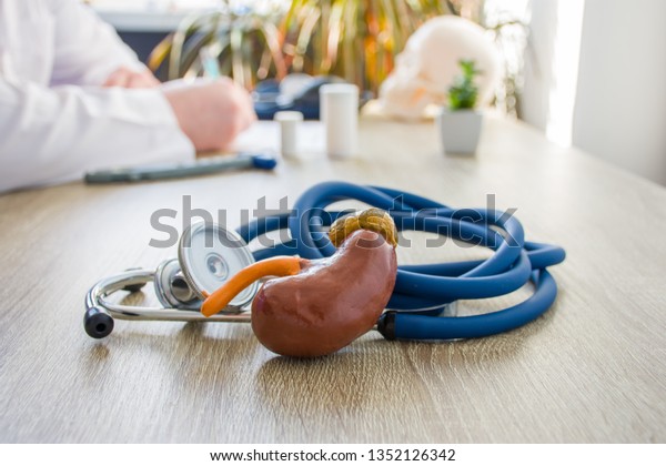 Concept photo of diagnosis and treatment of\
kidneys. In foreground is model of kidney near stethoscope on table\
in background blurred silhouette doctor at table, filling medical\
documentation