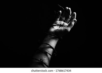 Concept Photo Of A Hand And Arm Tied With Barbed Wire In Studio Artistic Conversion