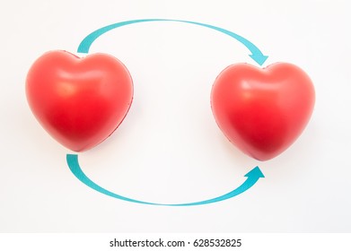 Concept Photo Of Heart Transplant. Two 3D Anatomical Heart Shapes Are Reversed To Direction Of Arrows. Illustration Of Heart Transplantation In Cardiac Reconstructive Surgery From Donor To Recipient