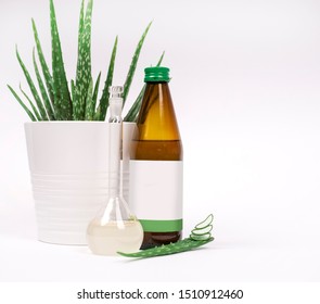 Concept photography still life with fresh vivid green aloe vera plant, brown bottle,  medical flask with juice and sliced aloe vera. Mock up label  in a set - Shutterstock ID 1510912460