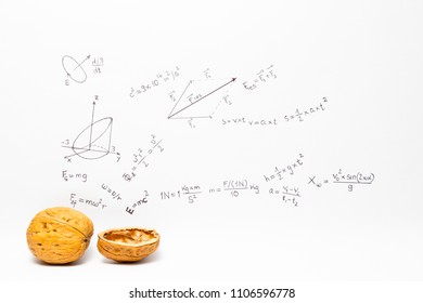 Concept of the phrase physics in a nutshell. Physics formulas drawn on white paper with walnuts