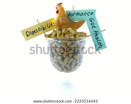 CONCEPT, POULTRY FEED QUALITY and Performance, Nutrition, gut health, digestibility issues. Feed additives product efficacy, brochures, flyer, presentation slide designs. and Data research table.