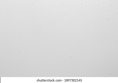 The Concept Of Raindrops Falling On A Gray Background Abstract Wet White Surface With Bubbles On The Surface Realistic Pure Water Droplet Water Drops For Creative Banner Design