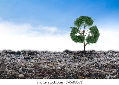 Concept recycle big alone tree in the garbage .Tree of life. - Shutterstock ID 590698883