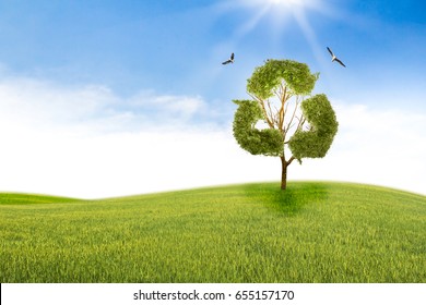 Concept Recycle Of Life. Big Alone Tree In The Field