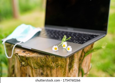 Concept Of Remote Work Or Distant Study During The Coronavirus Pandemic. Medical Mask, Laptop, On A Tree Trunk Outdoor. Beutiful Nature Environment. High Quality Photo