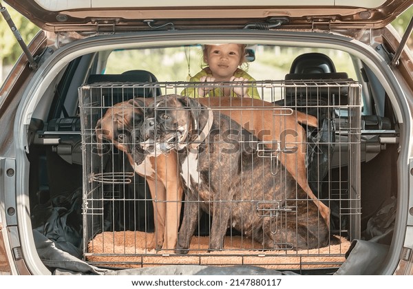 the concept of a safe trip by car with children and\
pets. A family travels in a car along with dogs in a cage and a\
small child. 