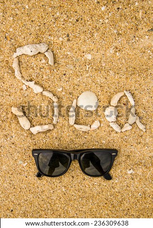 Concept of sea decorated by coral,shells,sunglasses .