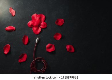 Concept shape, love, technology Red smartphone charging cable and rose petals on black background - Powered by Shutterstock