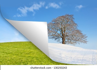 Concept Showing The Seasons Change, Summer Vs Winter