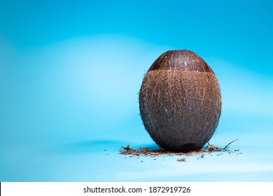 Concept Shows Whole Coconut In Shell With Half Shaved To Look Like Balding, Shaving Or Hair Loss. Blue Background.