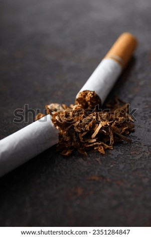 Concept of smoking addiction, broken cigarette, close-up.